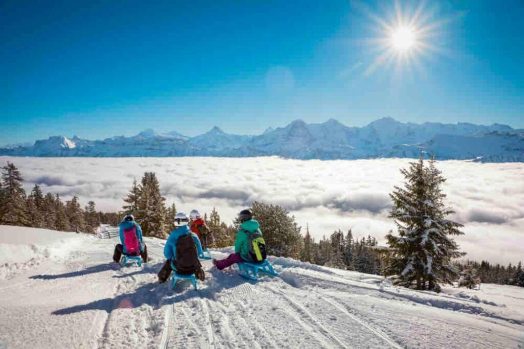 Chalet Mignon - Your Vacation Oasis At Lake Brienz Bonigen Luaran gambar