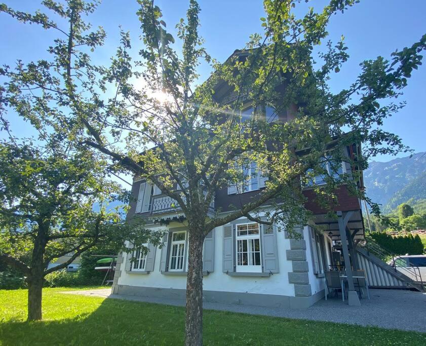 Chalet Mignon - Your Vacation Oasis At Lake Brienz Bonigen Luaran gambar